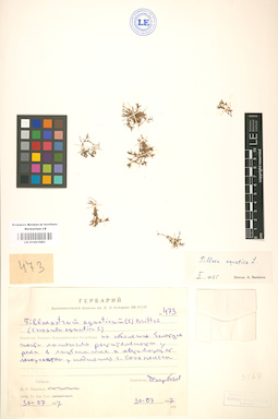 LE 01001685