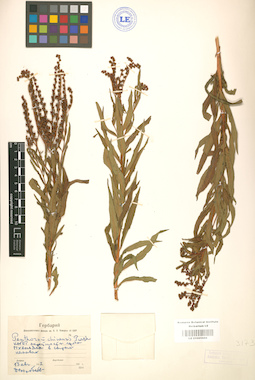 LE 01001686