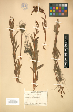 LE 01001688