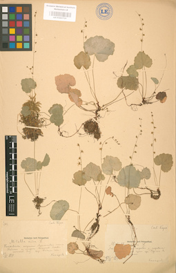 LE 01001731