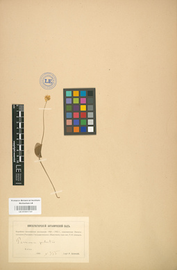 LE 01001744