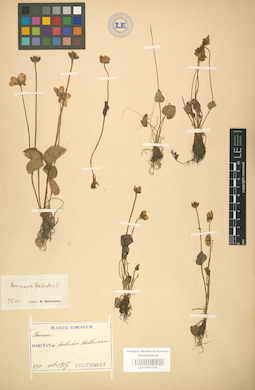 LE 01001745