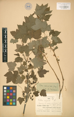 LE 01001748