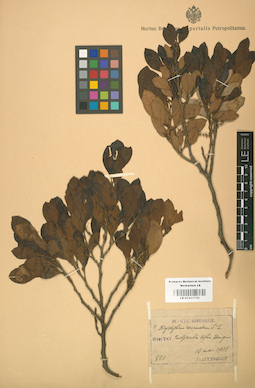 LE 01001752