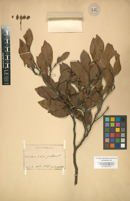 LE 01001753