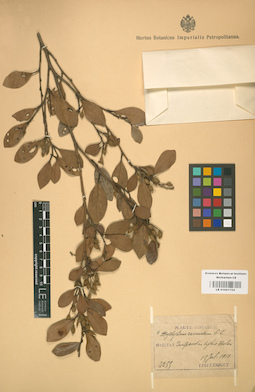 LE 01001754