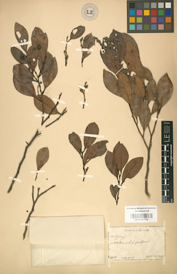 LE 01001756