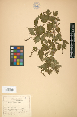 LE 01001757
