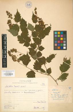 LE 01001758