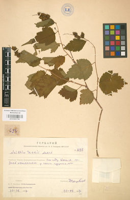 LE 01001759