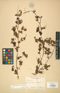 LE 01001760