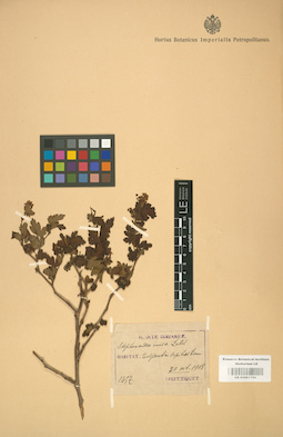 LE 01001762