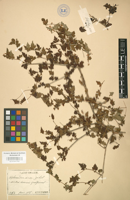 LE 01001763