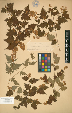 LE 01001766