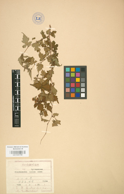 LE 01001768