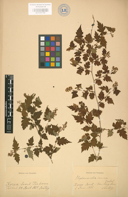 LE 01001769