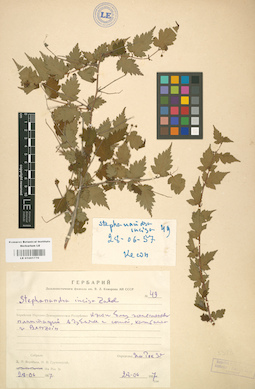 LE 01001770