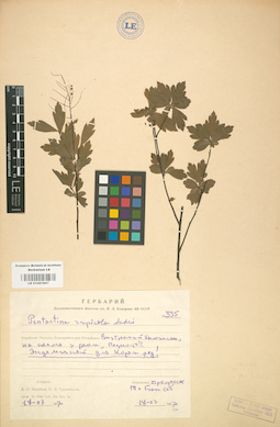 LE 01001807