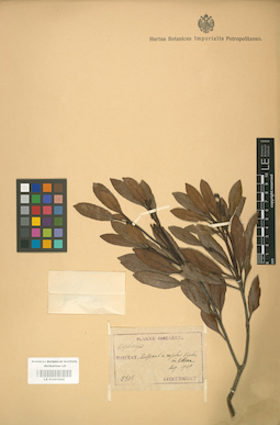 LE 01001842