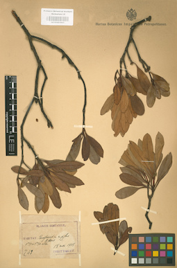 LE 01001843