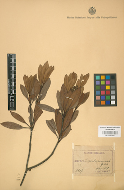 LE 01001845