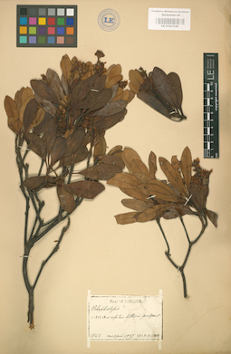 LE 01001846