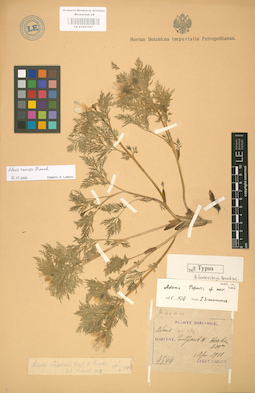 LE 01001967