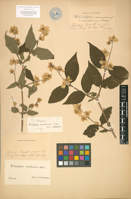 LE 01001980