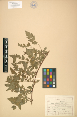 LE 01002016