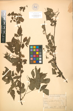 LE 01002018