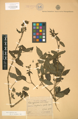LE 01002020