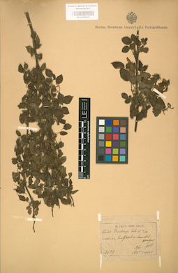 LE 01002023