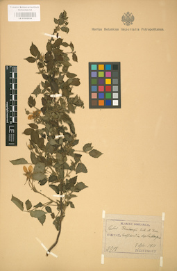 LE 01002024