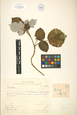 LE 01002042