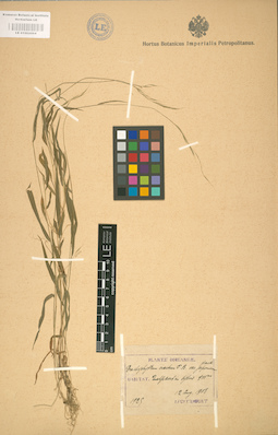 LE 01002064