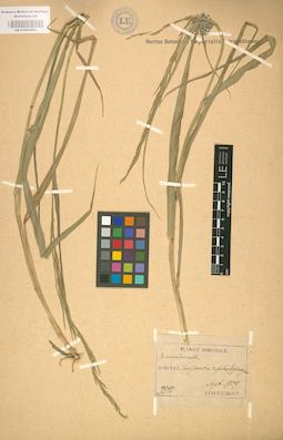 LE 01002083