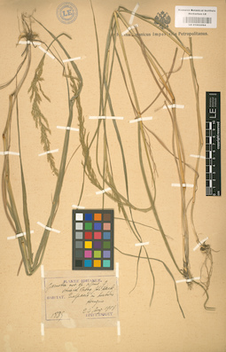 LE 01002084