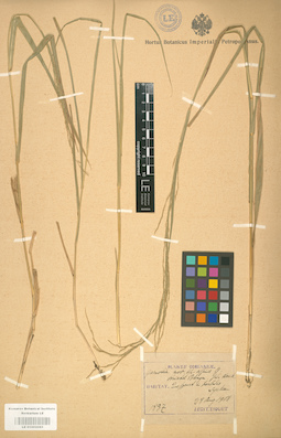 LE 01002085
