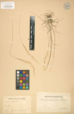 LE 01002087