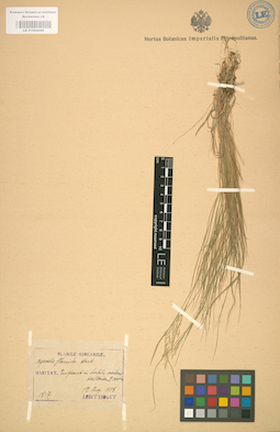LE 01002088