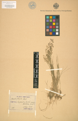 LE 01002089
