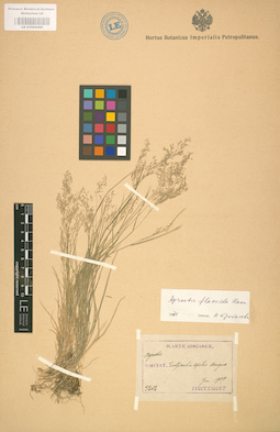 LE 01002090