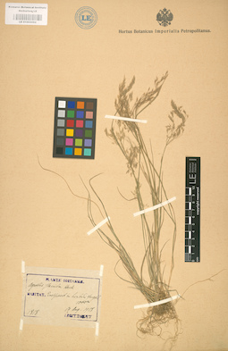 LE 01002094
