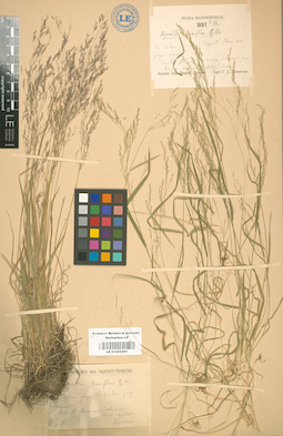 LE 01002097