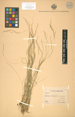 LE 01002100