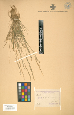 LE 01002101