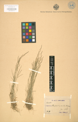 LE 01002102