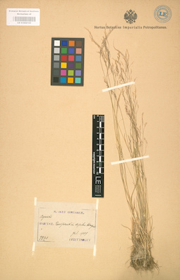 LE 01002105