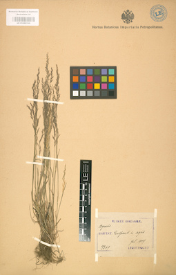 LE 01002106