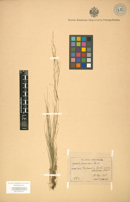 LE 01002110